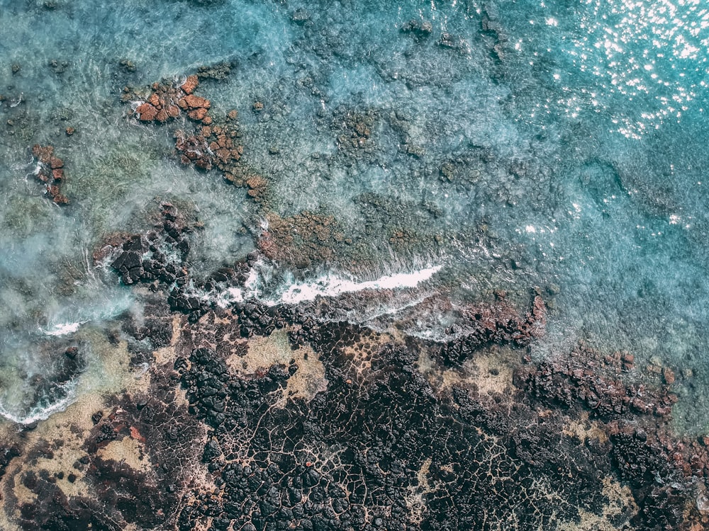 Vue de dessus du bord de mer pendant la journée