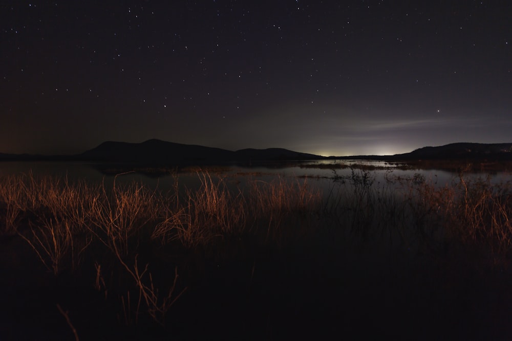 brown grass beside water near mountain