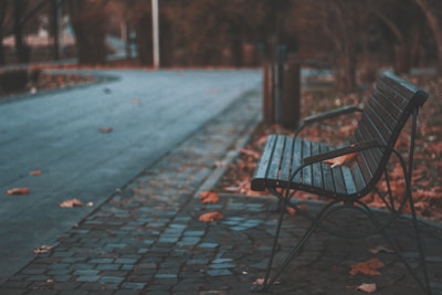A quiet bench beside a trail, surrounded by warm neutral tones of autumn leaves.