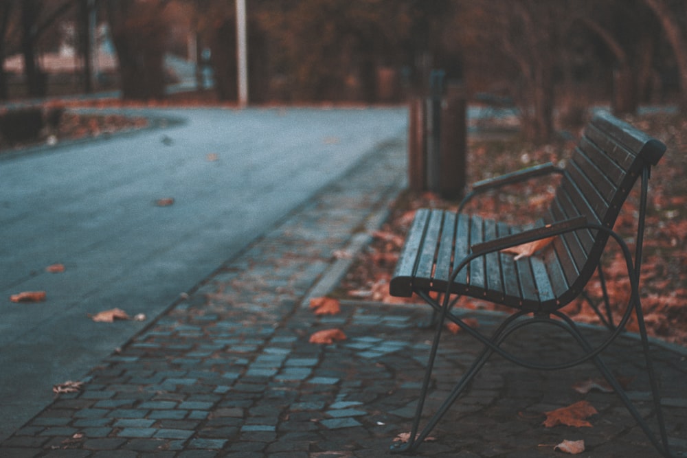 banc près des arbres