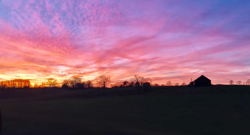 A picturesque view of the dairy farm at sunset.