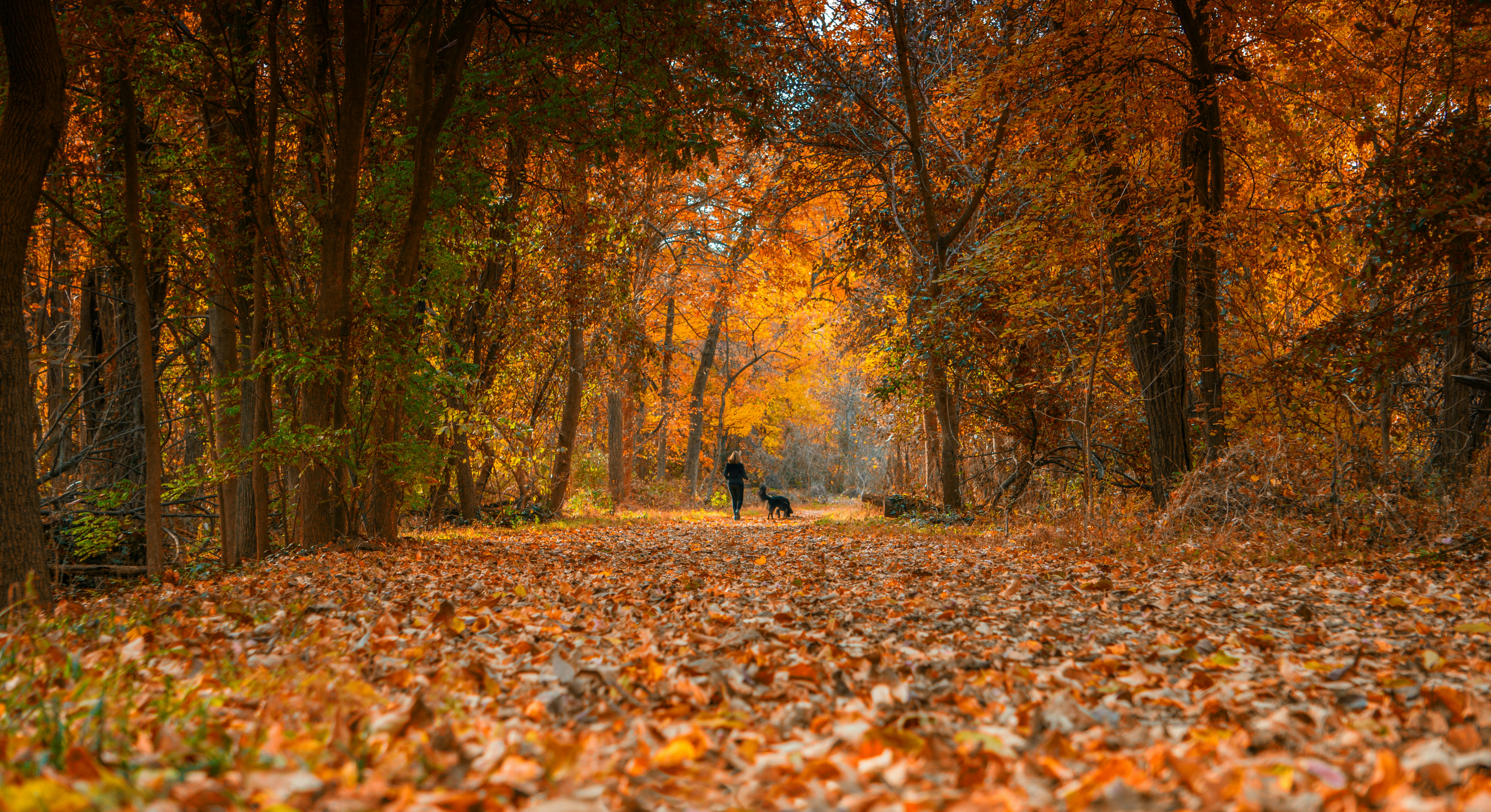 Medžioklės paketai užsienyje