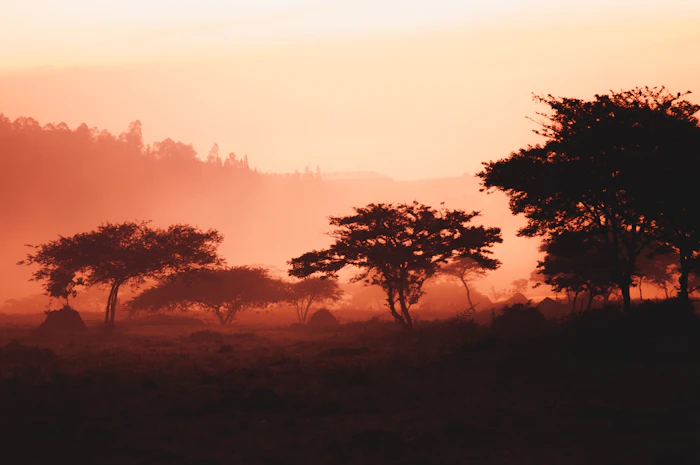 Sunrise over the hills surrounding Kigali, Rwanda