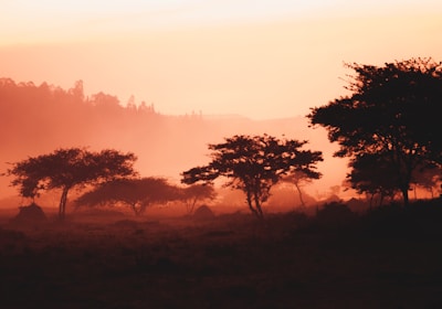 Ruanda Reise Akagera Nationalpark Nebel im Sonnenaufgang