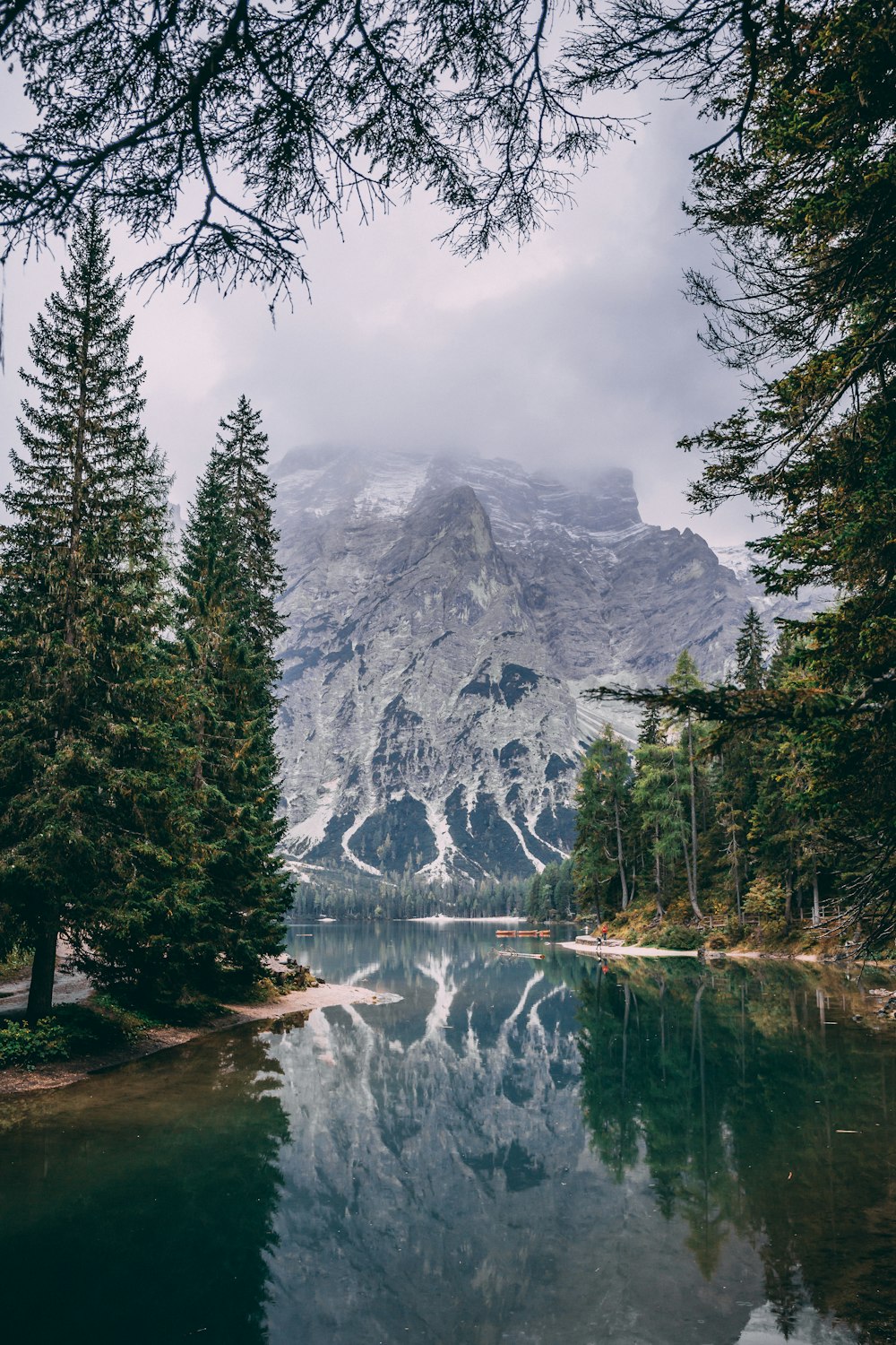 river surrounded by trees near snow mountain