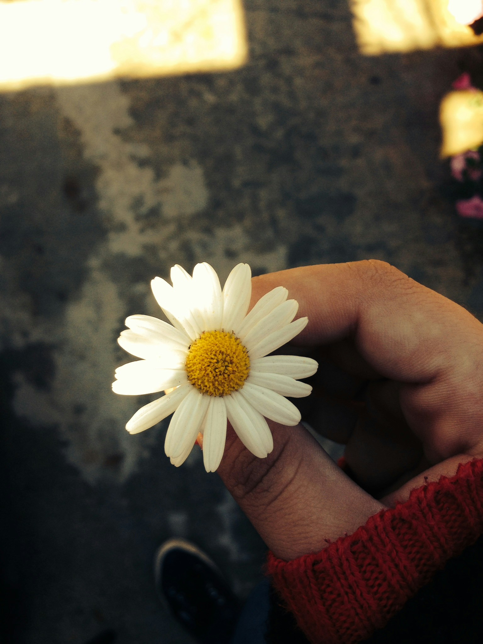 What Gestures and Actions Can Make a Girl Feel Special and Appreciated?