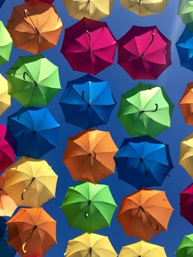 assorted-colored umbrellas