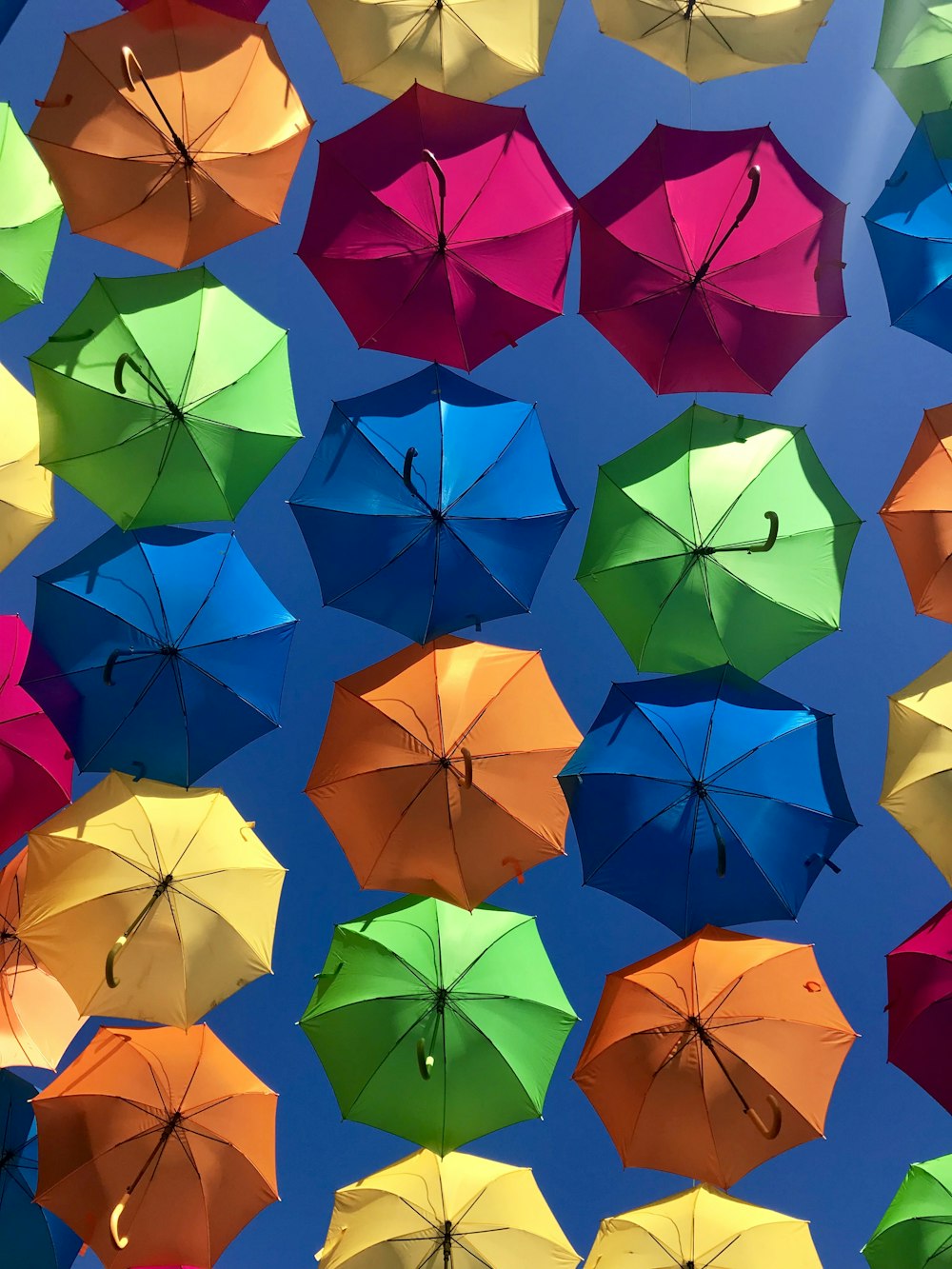 Parapluies de couleurs assorties