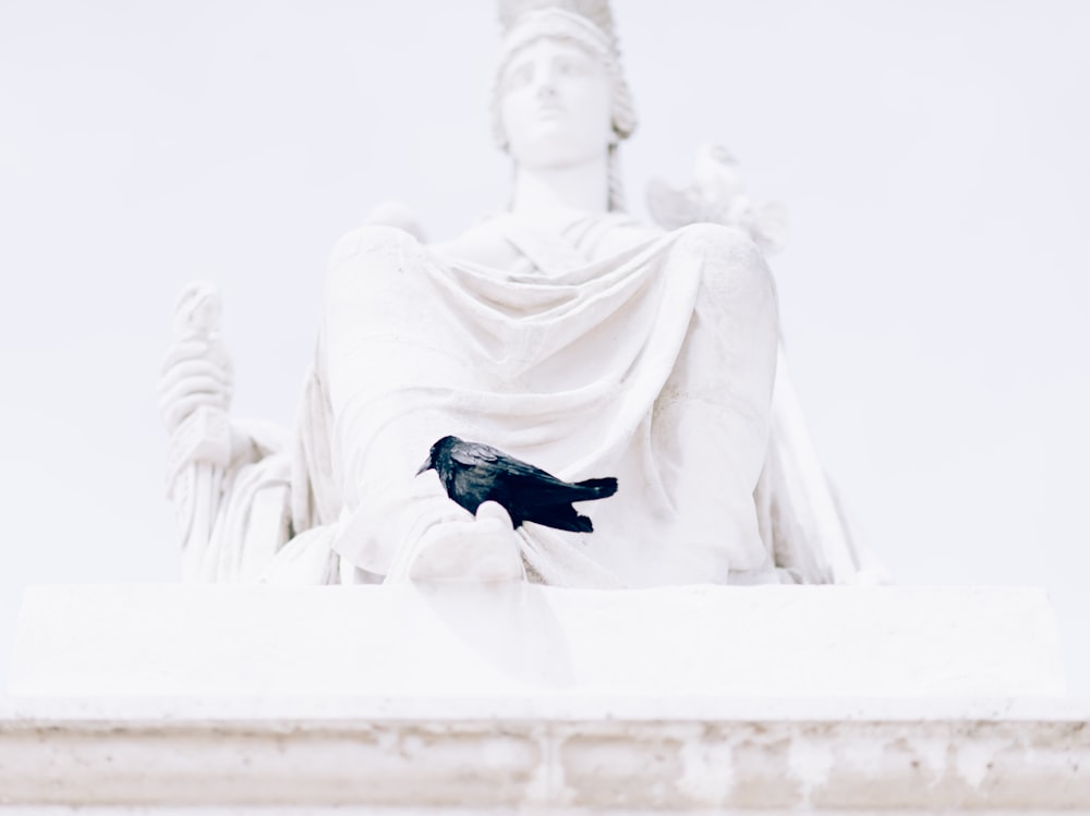 un uccello nero seduto sulla cima di una statua