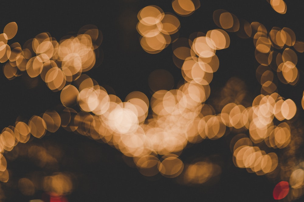 bokeh lights