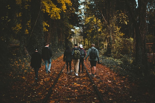 photo of Lake Oswego Forest near St. Johns Bridge