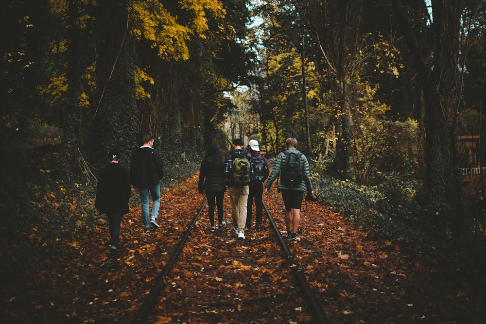 Sechs Personen zu Fuß auf Zugschienen, umgeben von hohen Bäumen am Tag