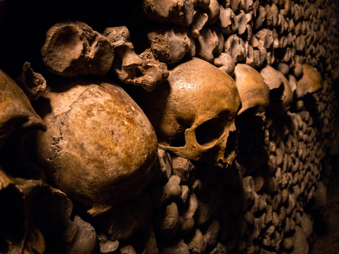 skeleton skulls, Pensive skull of the catacombs