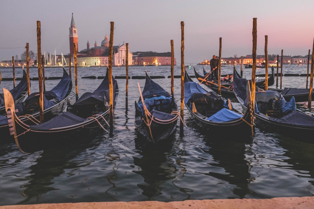 black canoes docking in dock at daytime