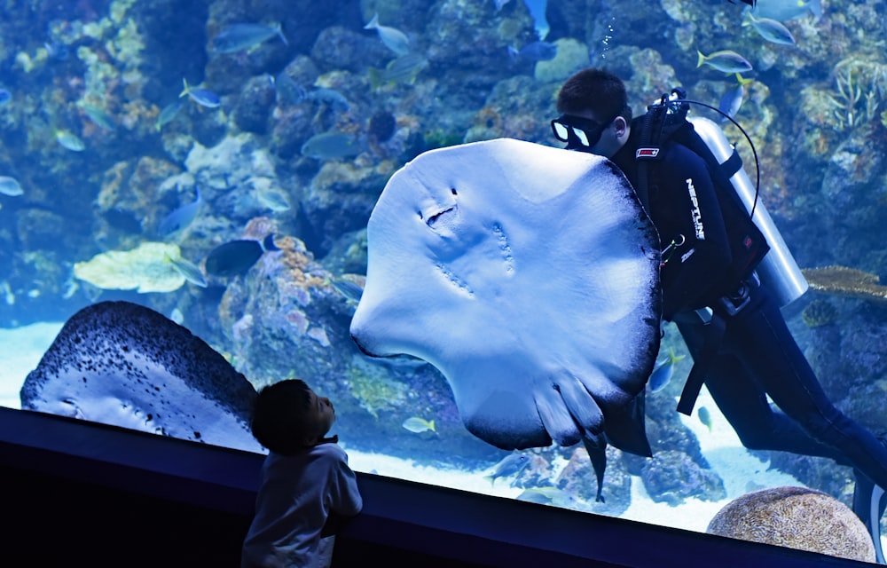 toddler boy watching diver swimming beside stingray inside aquarium