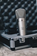 A professional silver microphone labeled B-2 Pro is placed in an open hard case lined with foam. The background shows a padded, soundproof wall, suggesting a studio environment.