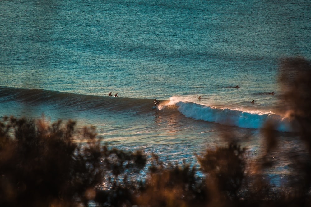 photo of people on shore