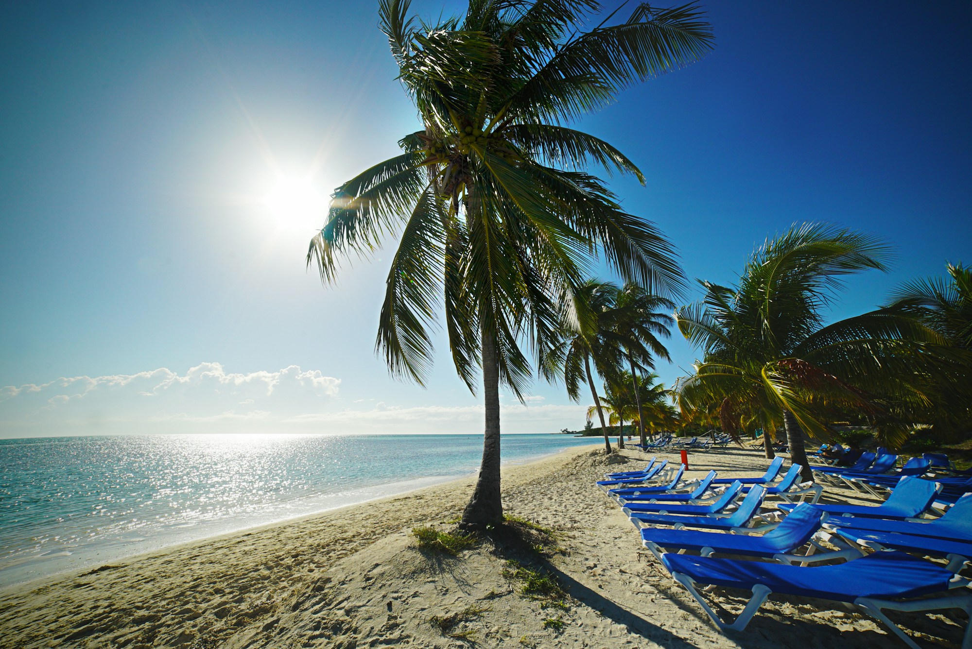 Exploring the Bahamas: A Travel Guide