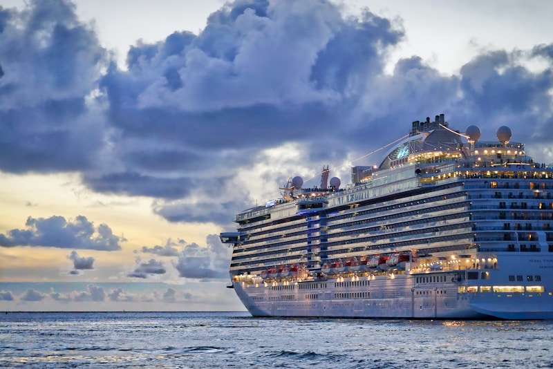 Cruise Ship Amenities and Expenses Quiz