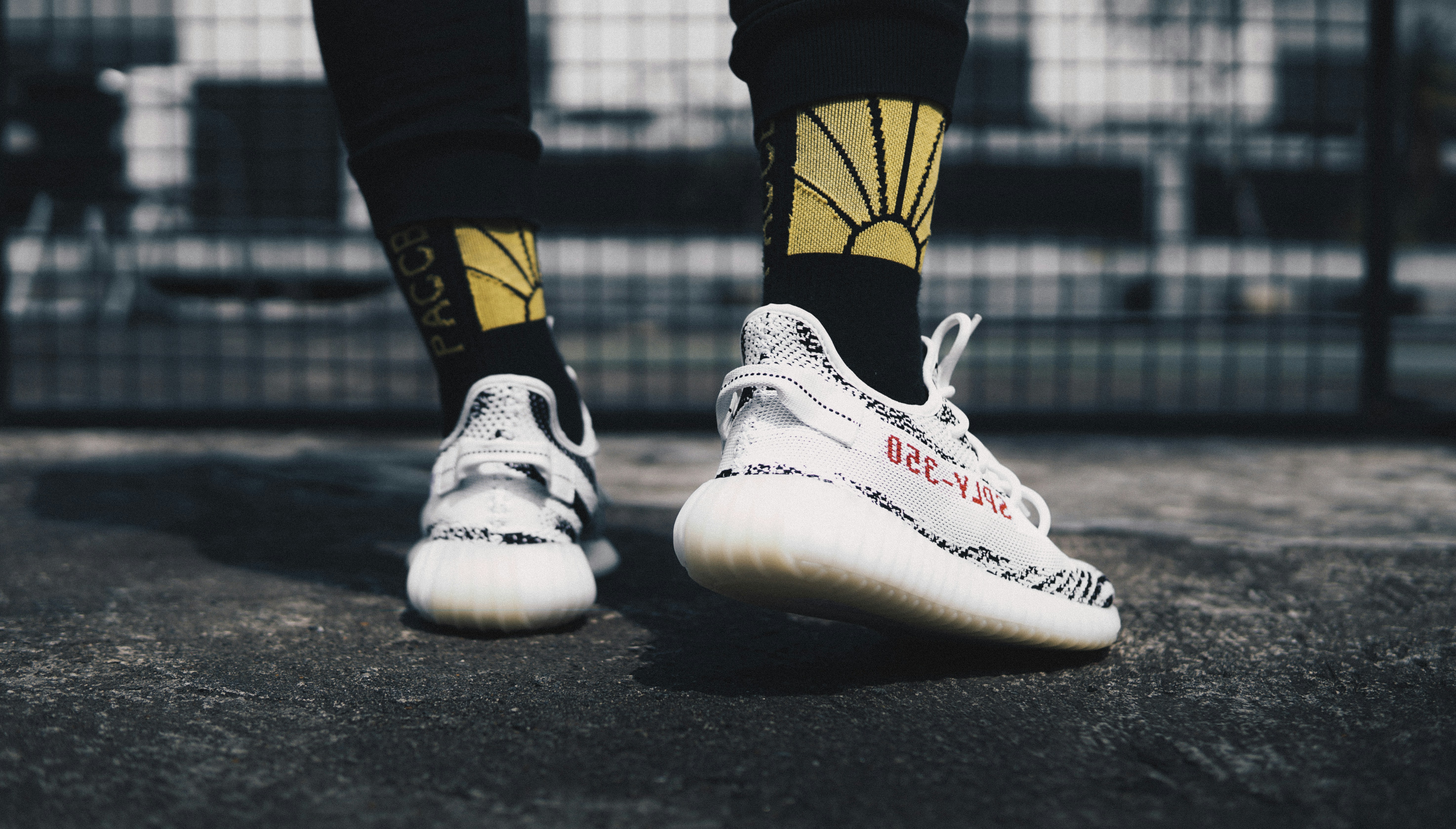 yeezy zebra socks