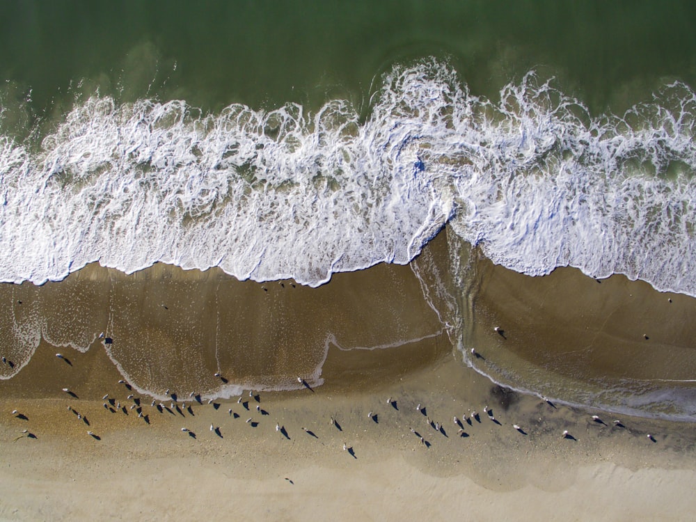 Vue sur le bord de mer