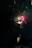 A vibrant night scene of a Pakistani wedding with golden fireworks lighting up the sky.