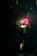 A vibrant night scene of a Pakistani wedding with golden fireworks lighting up the sky.