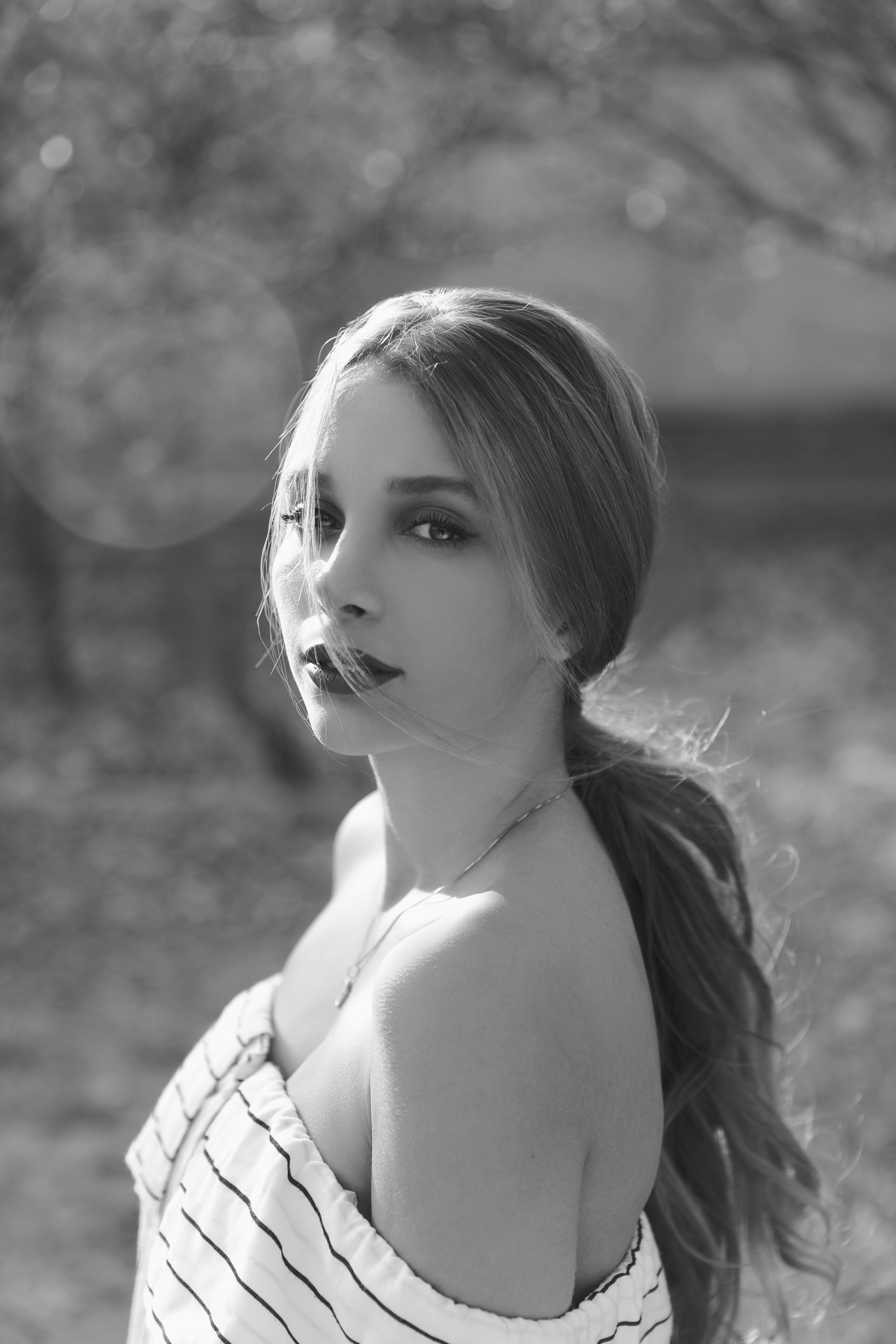 The Street Art Evolution: From Vandalism to Gallery