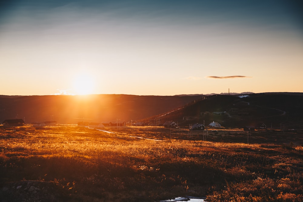 landscape photography of grass field during golden hour