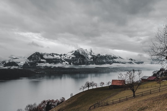 mountain alps near lake in Sigriswil Switzerland