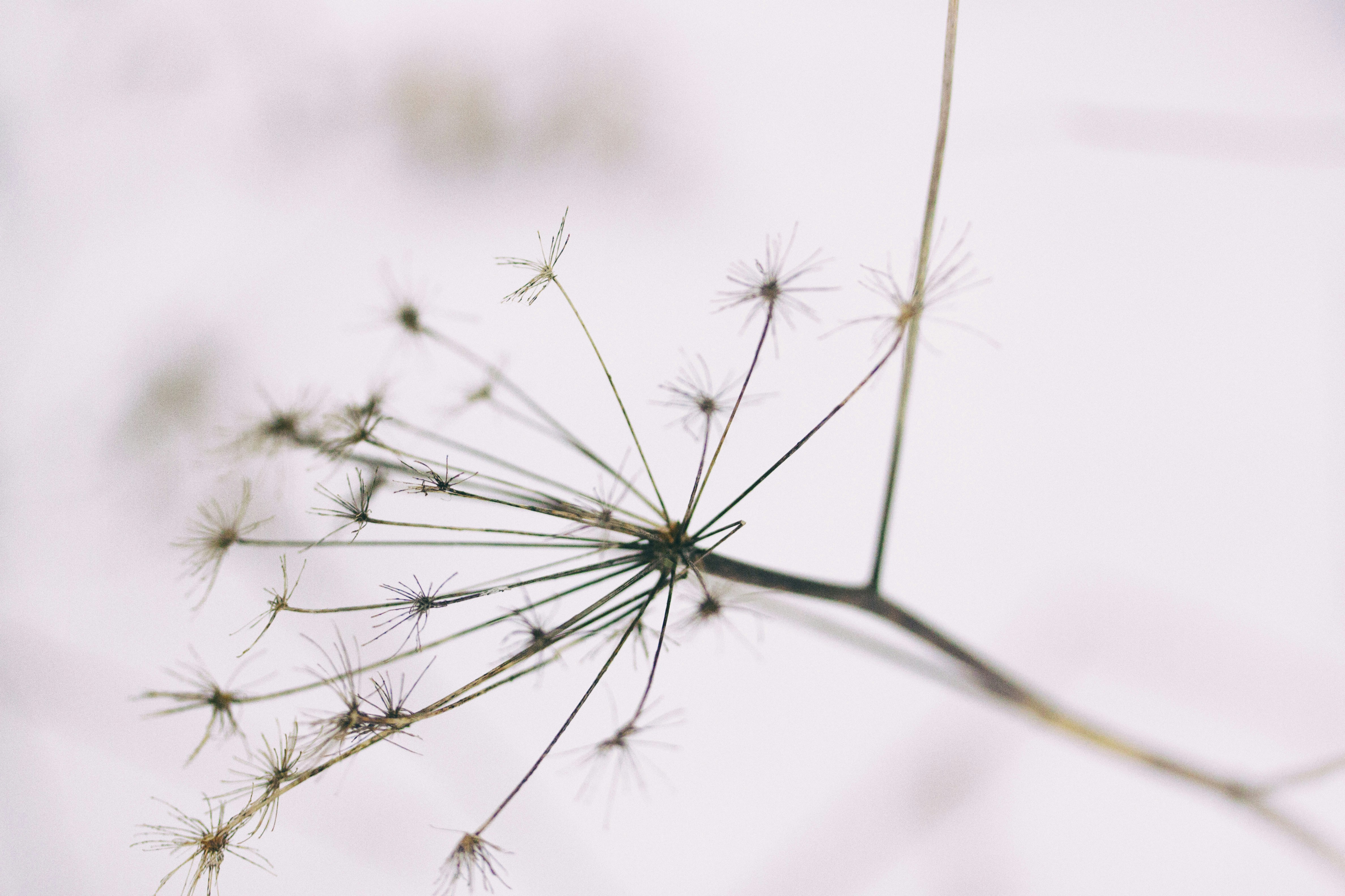 Photo by momo16061978