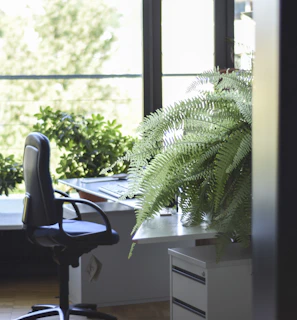Soft natural light illuminating a modern office corner with plants and notebooks