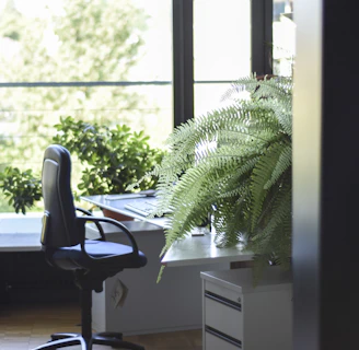 Soft natural light illuminating a modern office corner with plants and notebooks