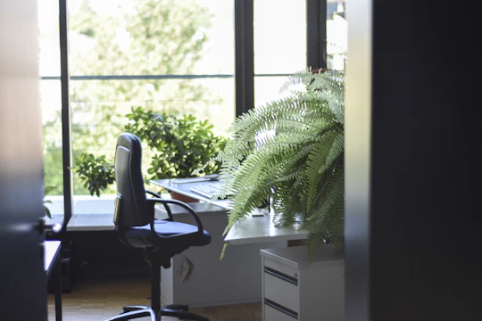 A modern office space featuring a sleek desk, ergonomic chair, and vibrant plants adding life to the room.