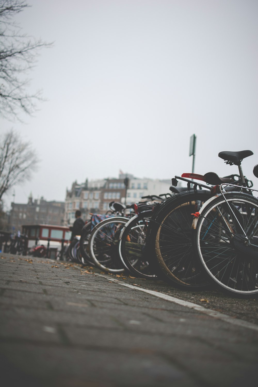 parked bicycles