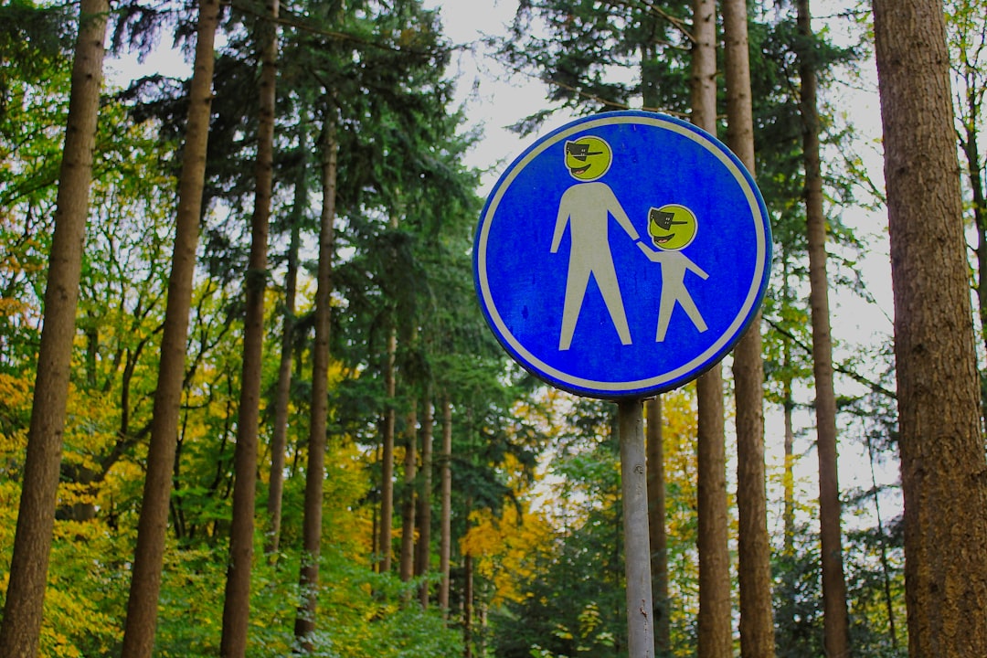 Forest photo spot Nijmegen Veluwe