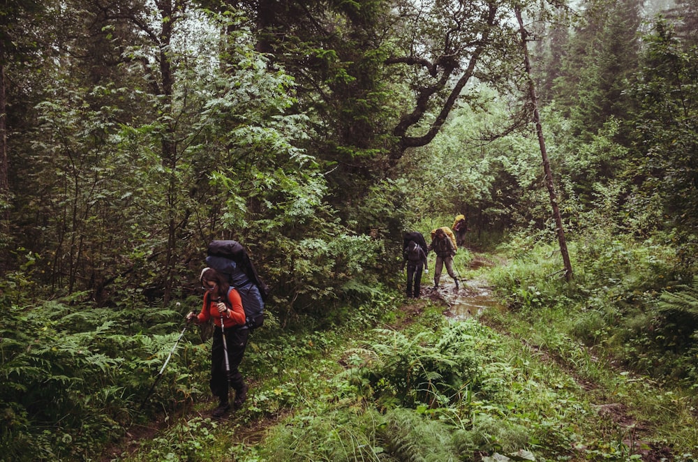 person hiking on moutanin