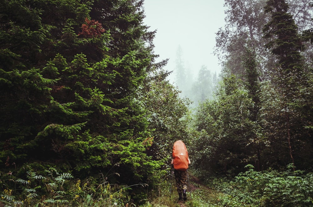 person with backpack on walking on forest