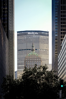 A prominent skyscraper with the MetLife logo at the top is framed by two other tall buildings on either side. In the foreground, there is a dark silhouette of tree foliage, and the lower part of another historical building with a green roof protrudes in front of the MetLife building. The sky is a clear pale blue, providing contrast to the urban structures.