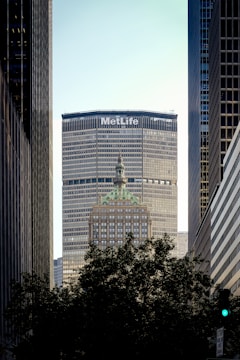A prominent skyscraper with the MetLife logo at the top is framed by two other tall buildings on either side. In the foreground, there is a dark silhouette of tree foliage, and the lower part of another historical building with a green roof protrudes in front of the MetLife building. The sky is a clear pale blue, providing contrast to the urban structures.
