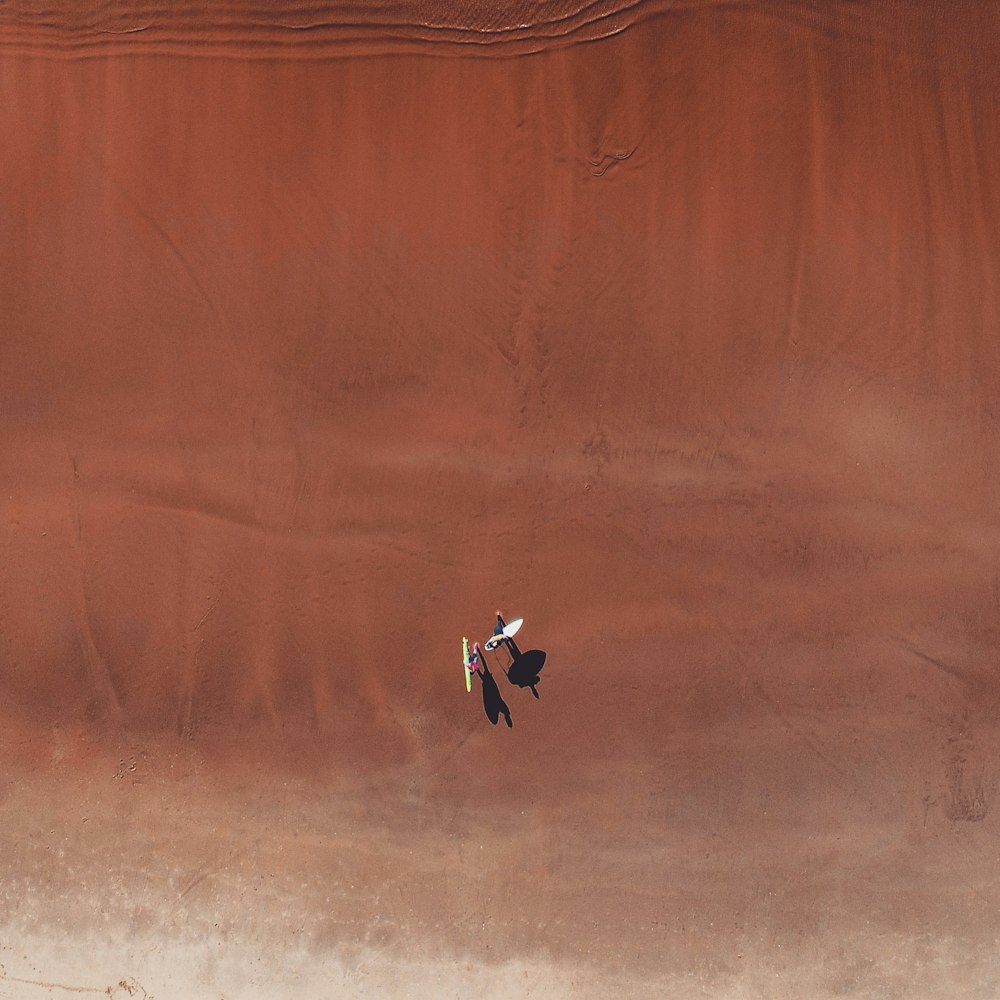 foto aérea de duas pessoas no deserto