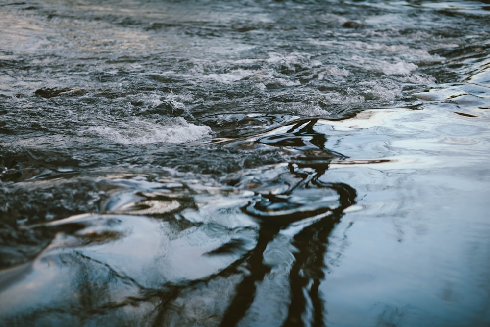 body of water photo at daytime