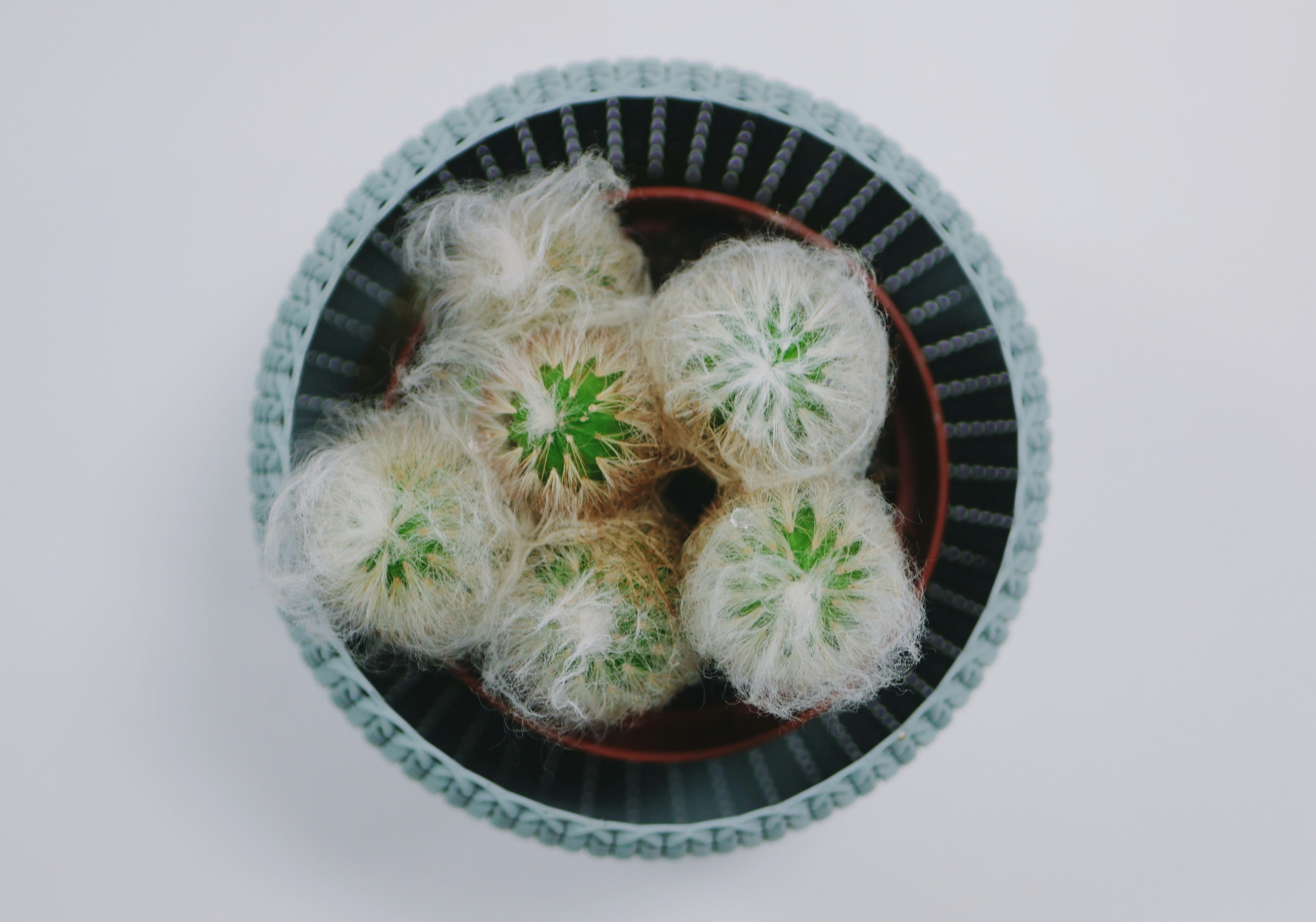 sweet rice balls, wallpaper, Sejarah Onde-Onde: Asal Usul, Evolusi, dan Kelezatannya 3