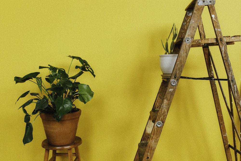 brown wooden A-frame ladder