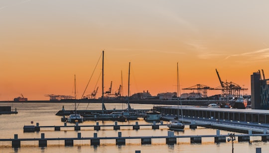 photography of boat docks in W Barcelona Spain