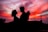 silhouette of man and woman facing each other during golden hour