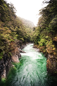 landscape photo of flowing river