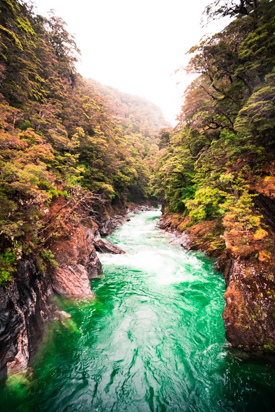 Blue Pools things to do in Haast