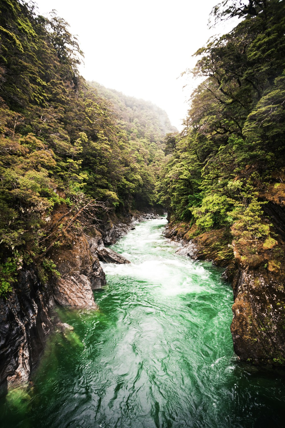 photo de paysage de rivière qui coule