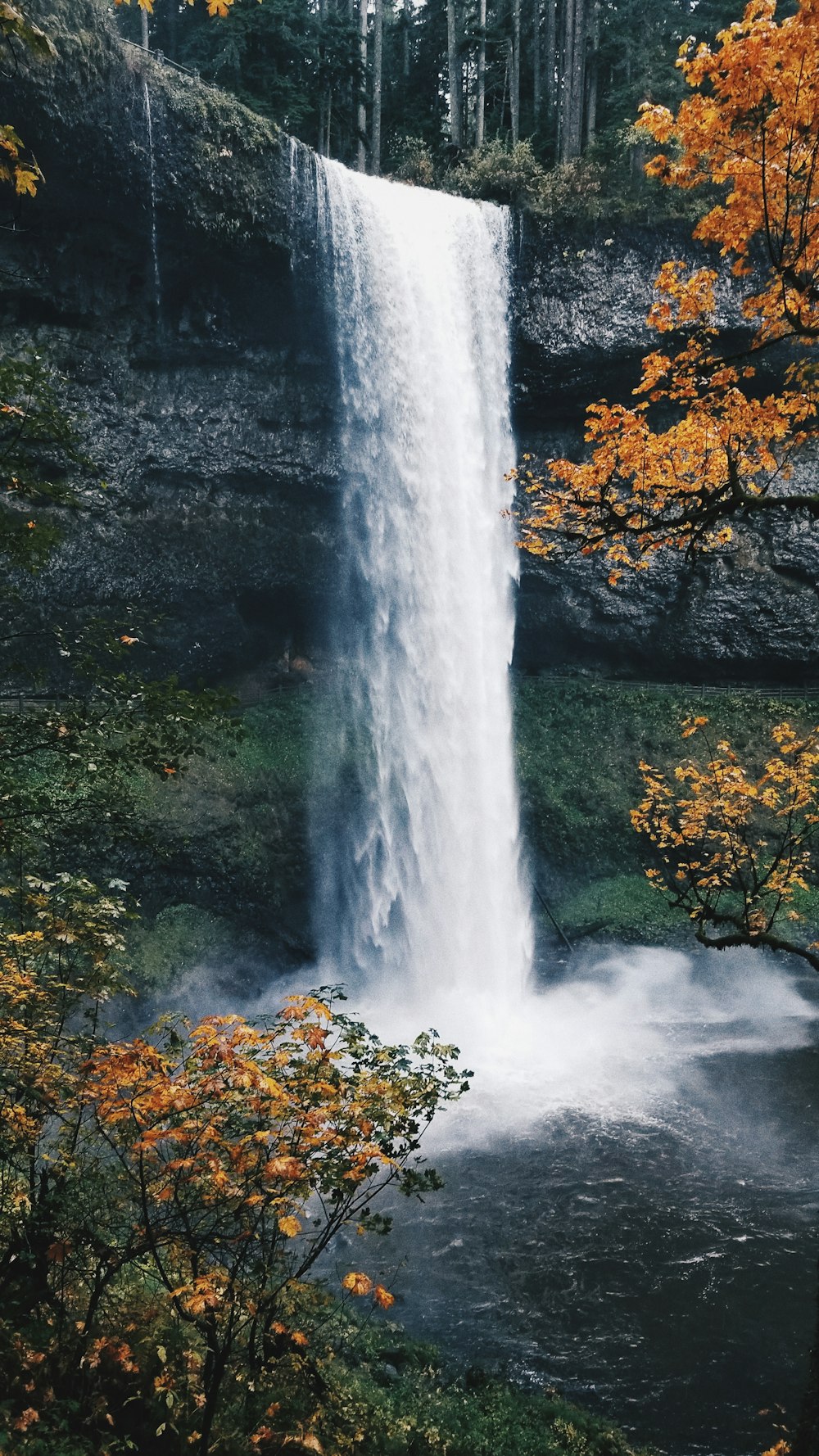 plunge waterfalls